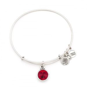 Alex and Ani January birthstone bracelet